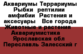 Аквариумы.Террариумы.Рыбки, рептилии, амфибии. Растения и аксесуары - Все города Животные и растения » Аквариумистика   . Ярославская обл.,Переславль-Залесский г.